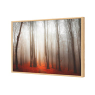 Forest of Fire