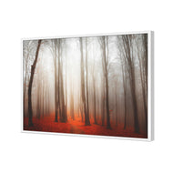 Forest of Fire