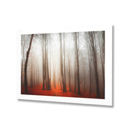 Forest of Fire