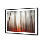 Forest of Fire