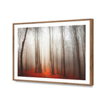 Forest of Fire