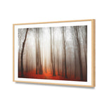 Forest of Fire