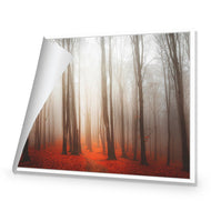 Forest of Fire