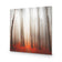 Forest of Fire