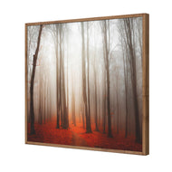 Forest of Fire
