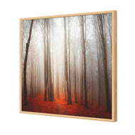 Forest of Fire