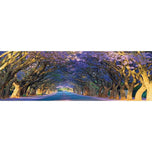 Jacaranda Alley