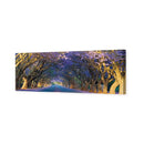 Jacaranda Alley