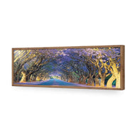 Jacaranda Alley