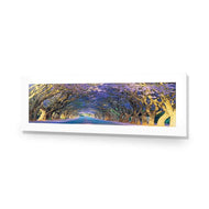 Jacaranda Alley