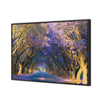 Jacaranda Alley