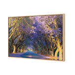 Jacaranda Alley