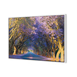 Jacaranda Alley
