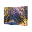 Jacaranda Alley