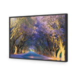 Jacaranda Alley
