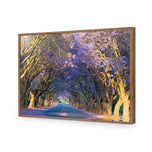 Jacaranda Alley