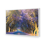 Jacaranda Alley