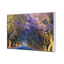 Jacaranda Alley