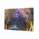 Jacaranda Alley