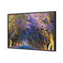 Jacaranda Alley