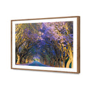 Jacaranda Alley