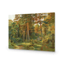 Ivan Shishkin - Old Forest Mill