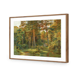 Ivan Shishkin - Old Forest Mill