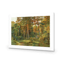 Ivan Shishkin - Old Forest Mill