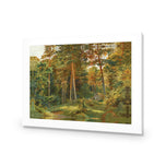 Ivan Shishkin - Old Forest Mill