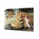 Botticelli - Birth of Venus (stock)