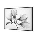 Magnolia Blossoms