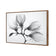 Magnolia Blossoms