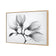 Magnolia Blossoms