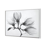 Magnolia Blossoms