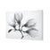Magnolia Blossoms