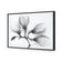 Magnolia Blossoms