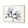 Magnolia Blossoms