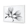 Magnolia Blossoms