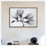 Magnolia Blossoms