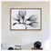 Magnolia Blossoms