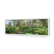 Ellenborough Falls
