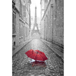 Lost Umbrella in Paris