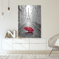 Lost Umbrella in Paris