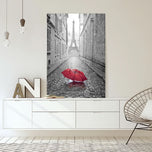 Lost Umbrella in Paris (stock)