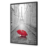 Lost Umbrella in Paris