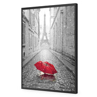 Lost Umbrella in Paris