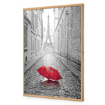 Lost Umbrella in Paris