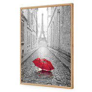 Lost Umbrella in Paris