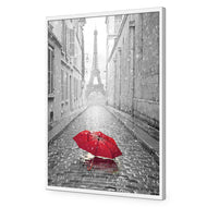 Lost Umbrella in Paris