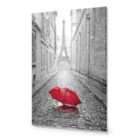 Lost Umbrella in Paris